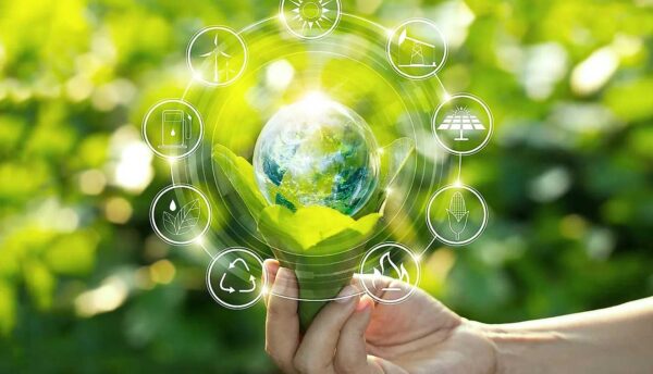 Digitalization And Environmental Problems