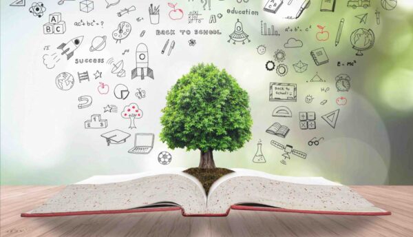 Eco School