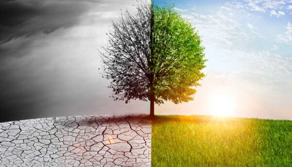 Being an Active Citizen for Climate Change