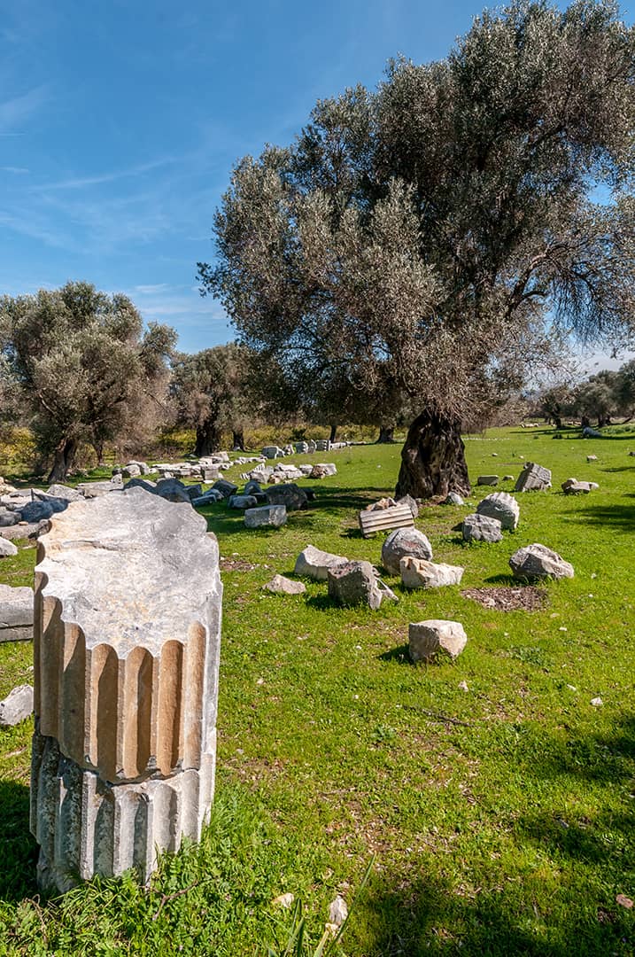 Teos ancient city