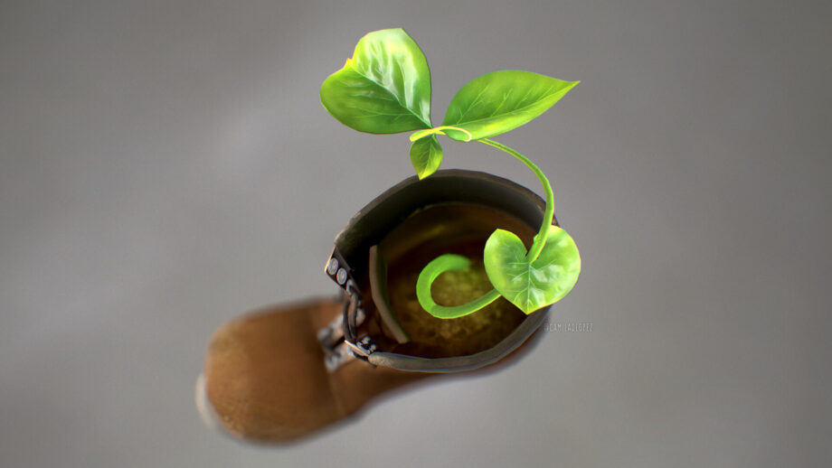 Sustainable Education: Climate Change and Eco-Schools