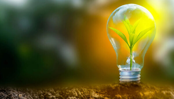 Green Energy, Clean Future: Renewable Energy and Sustainable Practices in Education