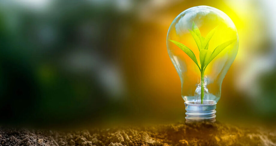 Green Energy, Clean Future: Renewable Energy and Sustainable Practices in Education