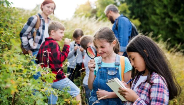 Outdoor Education: Reconnecting with Nature